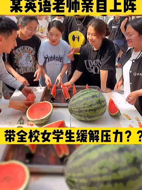 冠县吃瓜大赛事件,一场独特的乡村狂欢记