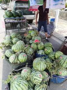 利川吃瓜事件真相视频
