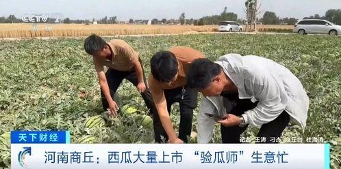 梁山拳铺吃瓜事件