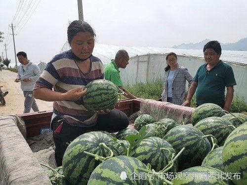 芜湖镜湖区吃瓜事件真相,揭秘背后真相与争议