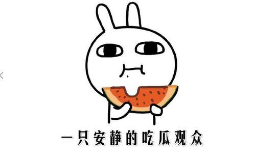 小来爱耍赖吃瓜事件